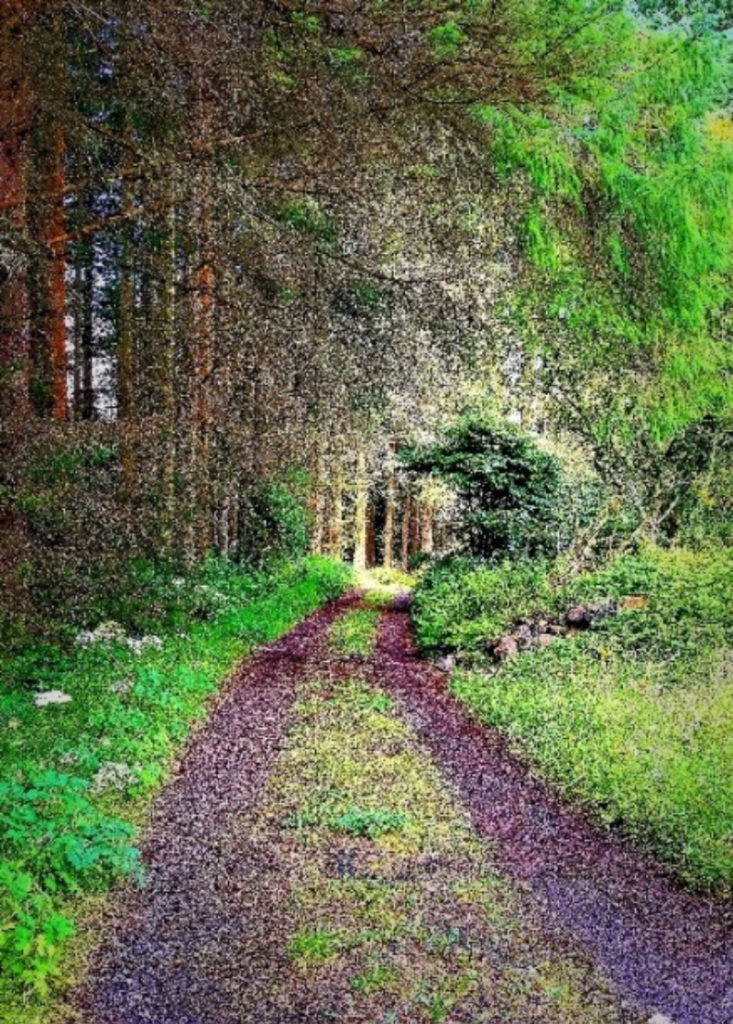 Muddy lane near Fionphort, Isle of Mull, Scotland